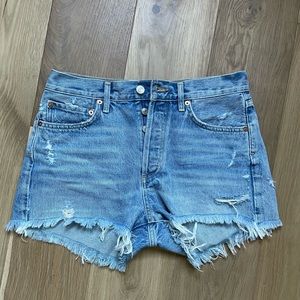AGOLDE Parker Denim Shorts in Swapmeet